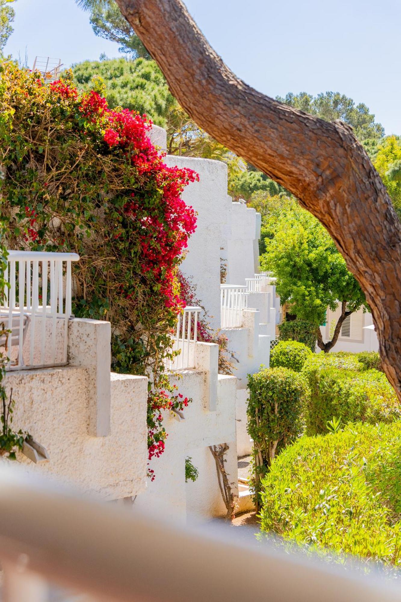 סנטה אאולריה דס ריו Atlas Apartments Ibiza מראה חיצוני תמונה